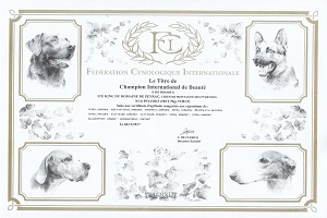 Ice King du Domaine de Peyrac Eredmények